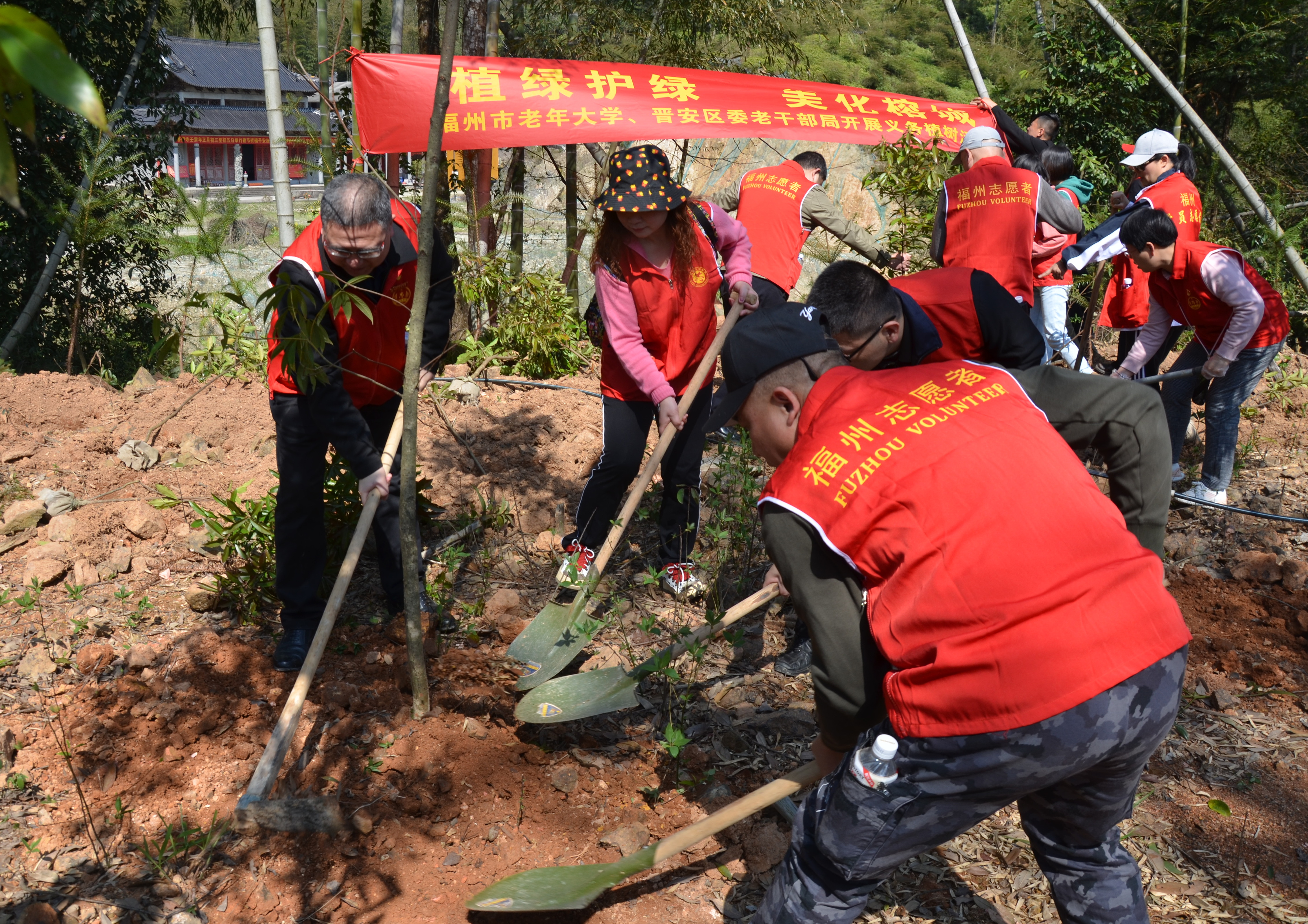 开展植绿护绿美化榕城主题党日活动