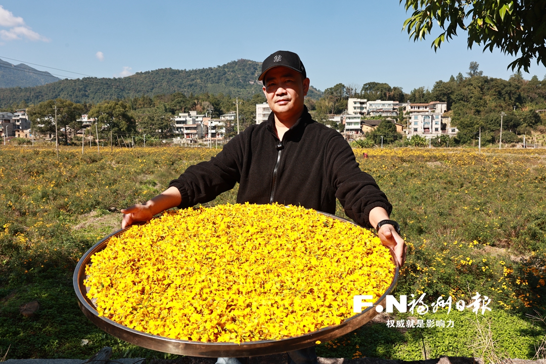 且以新质赋山海——海连江品牌如何“出山、出海、出圈”